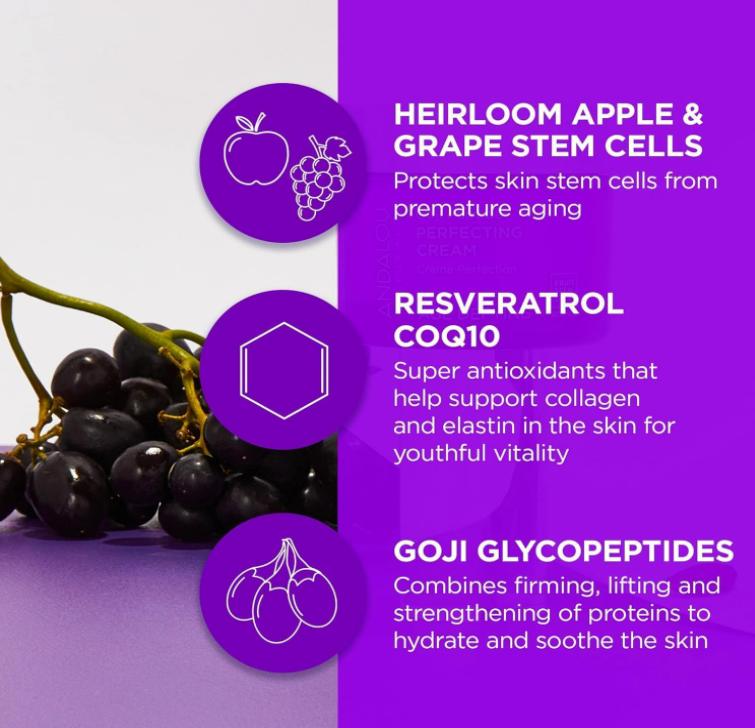 Neck Firming and Skin Tightening Cream 50ml (Pre-order)